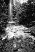 BKW104 The Grand Canyon in Flood, Blue Mountains National Park NSW